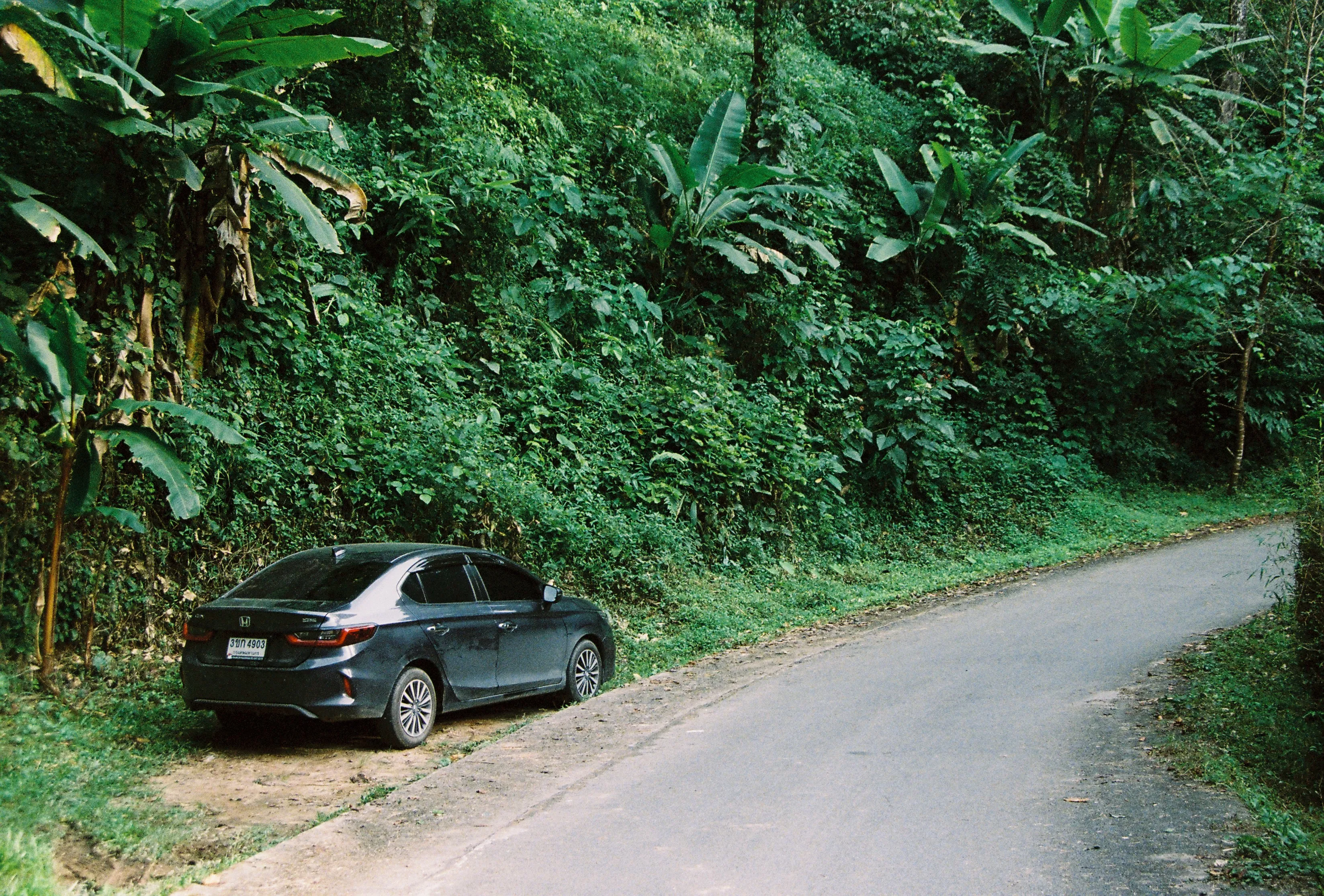 น้องนำโชค ณ เทพเสด็จ